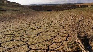 دراسة تكشف: الجفاف وموجات الحر تعيقان امتصاص النباتات لثاني أكسيد الكربون