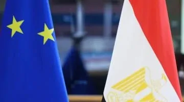 دليل شامل لآلية دعم الاقتصاد الكلي وتمويل عجز الموازنة