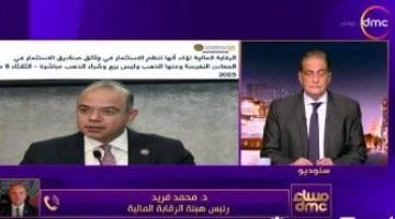 رئيس الرقابة المالية يصدر بيانين لتصحيح المفاهيم الخاطئة حول الاستثمار في الذهب