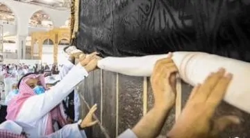 زيادة رحلات نقل حجاج السياحة المصريين وانتشار لجان البعثة في مكة والمدينة