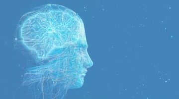 شركة Intempus تطلق روبوتات بخصائص فسيولوجية بشرية لتعزيز التفاعل الطبيعي