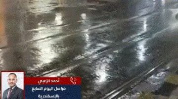 عاصفة تضرب الإسكندرية: تفاصيل الأحداث والكوارث في عروس البحر المتوسط (فيديو)