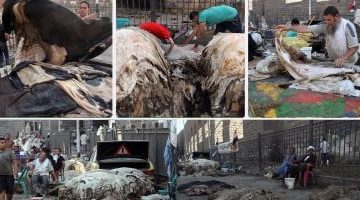 غرفة صناعة الجلود تشارك بـ13 شركة في معرض الصين الدولي خلال يونيو القادم