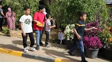 قبل إغلاق معرض الزهور.. فرصة ذهبية لإنشاء حديقتك بأقل تكلفة.. شاهد الفيديو!