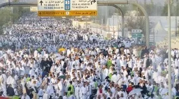 لجان مشتركة تتابع الرحلات السياحية في المنافذ المصرية والأردنية والسعودية