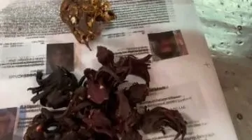 مشروب سحري يخفف حرارتك في الصيف.. شاهد الفيديو!