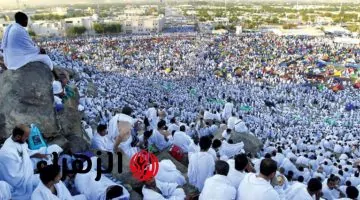 رقابة 24 ساعة: السعودية تطلق استعدادات الحج 1446 بخطة نقل ثورية وقرارات حاسمة