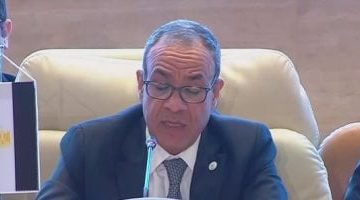 وزير الخارجية: مصر تتكبد 8 مليارات دولار خسائر جراء أزمة توقف الملاحة في البحر الأحمر