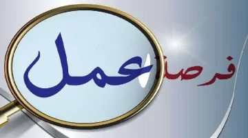 رواتب تصل إلى 6500 ريال شهريًا.. وزارة العمل السعودية تعلن عن وظائف شاغرة جذابة!