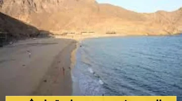 مكتب السياحة في عدن يُصدر تحذيرًا رسميًا هامًا: ضرورة الالتزام بالتوجيهات!
