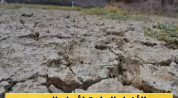 الأربعينية الحارة في اليمن تنتهي: انطلاق أيام الغمام لمدة 15 يوماً ووداع الصيف!