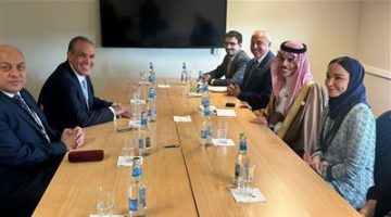 وزيرا خارجية مصر والسعودية يتفقان على رفض تهجير الفلسطينيين من أرضهم