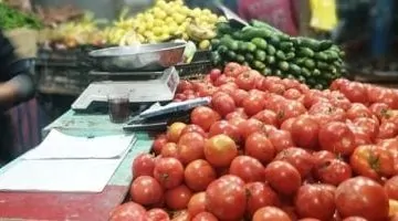 أسعار الخضروات تنخفض بشكل ملحوظ وسوق الجملة يوفرها للمواطنين مباشرة