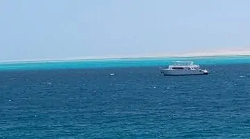 إقبال كبير على رحلات الجزر البحرية في الغردقة: الجفتون ومجاويش في الصدارة - شاهد الفيديو