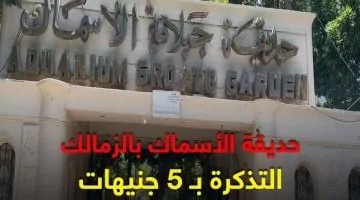 استمتع بفسحة بـ5 جنيهات في حديقة الأسماك: هوا وعالم مصور كأوروبا
