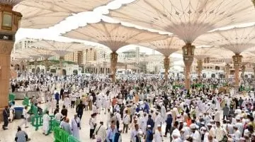 المدينة المنورة تحتضن أهالي الشهداء: من معاني التضحية إلى سبل الطمأنينة (فيديو)