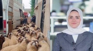 المغرب يمنع ذبح الأضاحي في عيد الأضحى.. تفاصيل حصرية من تليفزيون اليوم السابع
