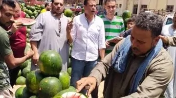 مزاد البطيخ في بنها يجذب الأنظار بظهور الطبلة وأجواء مميزة - شاهد الفيديو!